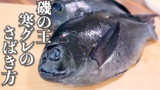 磯釣りの王者の捌き方と刺身の作り方 寿司職人yoshi おいしい料理